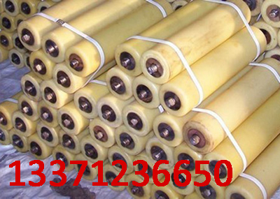 大量供應托滾 尼龍托滾 生產(chǎn)尼龍托滾 尼龍托滾廠家